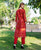 Saira Red Embroidered Straight Kurta